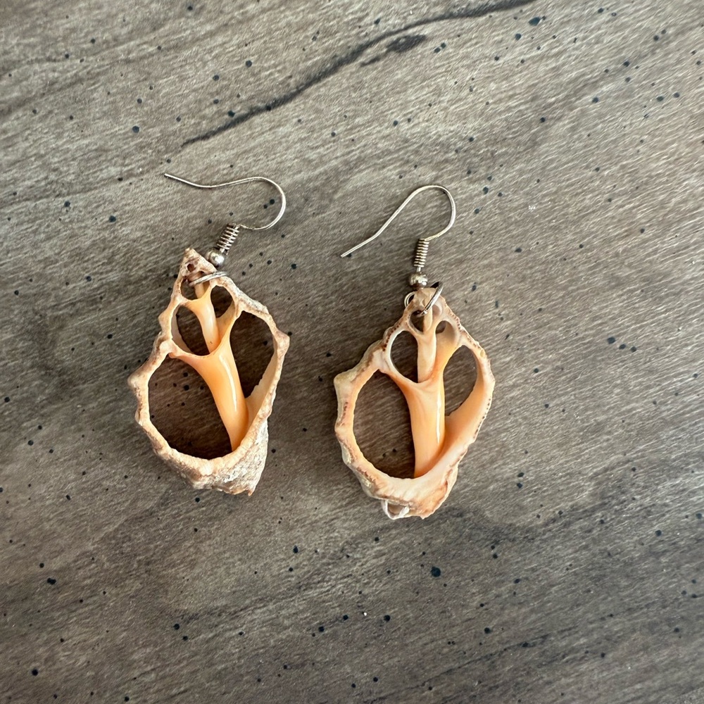 Natural Shell Earrings - Picture 2 of 3
